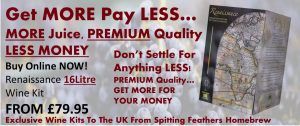 https://www.spitting-feathers-homebrew.co.uk/brands/renaissance/